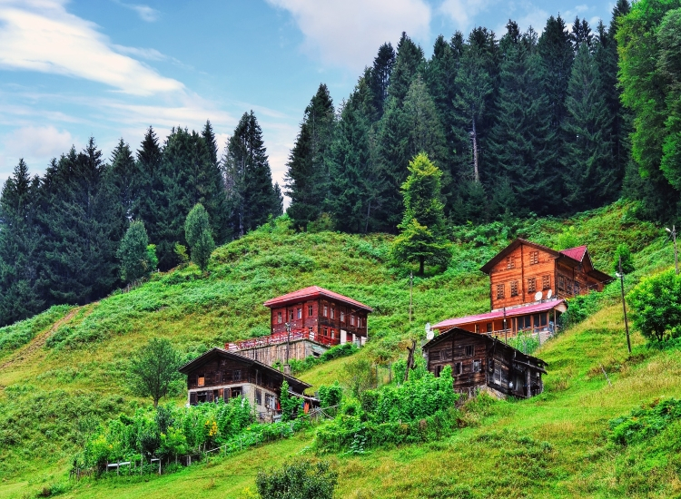 Karadeniz Turu-1